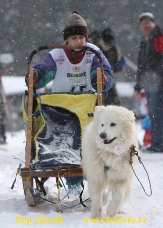 Tri studne zima 2009 - 1325.jpg